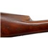 Image 13 : REMINGTON | Model: 1878 Whitmore Heavy Duck | Caliber: 10 G X 2 7/8"