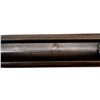 Image 9 : COOEY | Model: 60 | Caliber: .22 LR