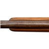 Image 9 : COOEY | Model: 39 | Caliber: .22 LR