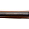 Image 9 : COOEY/WINCHESTER | Model: 600 | Caliber: .22 LR