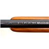 Image 8 : COOEY/WINCHESTER | Model: 64B | Caliber: .22 LR