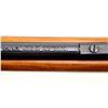 Image 9 : COOEY/WINCHESTER | Model: 64B | Caliber: .22 LR