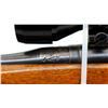 Image 10 : BRITISH ENFIELD | Model: P14 Sporter | Caliber: .303 BR