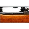 Image 9 : BRITISH ENFIELD | Model: P14 Sporter | Caliber: .303 BR