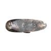 Image 16 : DUMOULIN | Model: Hammer Gun | Caliber: 12 G X 2 3/4"