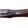 Image 14 : MERKEL | Model: 8 | Caliber: 12 G X 2 3/4"