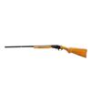 Image 4 : BSA | Model: Single Shot | Caliber: 12 G X 3"