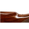 Image 11 : BERETTA | Model: AL391 Urika | Caliber: 12 G X 3"