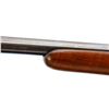 Image 8 : SWEDISH MAUSER | Model: Small Ring Sporter | Caliber: 6.5 X 55