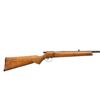 Image 2 : BSA | Model: Single Shot | Caliber: .22 LR