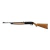 Image 4 : CROSMAN | Model: 2100 Classic | Caliber: .177 BB/PELLET