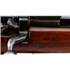Image 10 : BRITISH ENFIELD | Model: P14 Sporter | Caliber: .303 BR