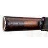 Image 17 : BRITISH ENFIELD | Model: P14 Sporter | Caliber: .303 BR