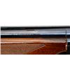 Image 9 : SAUER FRANCHI | Model: Standard | Caliber: 12 G X 2 3/4"