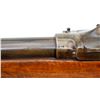 Image 8 : UNKNOWN BELGIAN | Model: Zulu | Caliber: 12 G X 2 3/4"