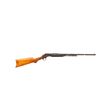 Image 1 : STEVENS | Model: Visible Loader | Caliber: .22 LR