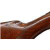 Image 10 : PARKER BROS | Model: P Grade | Caliber: 12 G X2 3/4"