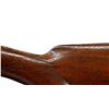 Image 7 : PARKER BROS | Model: P Grade | Caliber: 12 G X2 3/4"