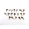Image 2 : ASSORTED MUZZLE LOADER TRIGGER LOT