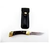 Image 1 : BUCK 110 V FOLDING HUNTING KNIFE WITH SHEATH