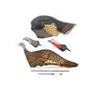 Image 2 : ASSORTED TURKEY DECOY, ETC. LOT