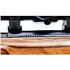 Image 7 : MARLIN | Model: 917V | Caliber: .17 HMR