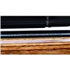 Image 8 : MARLIN | Model: 917V | Caliber: .17 HMR
