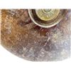 Image 11 : CANADIAN / U.S. MILITARY 106MM RECOILLESS ROUND INERT