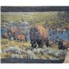 Image 1 : Buffalo on the Prairie