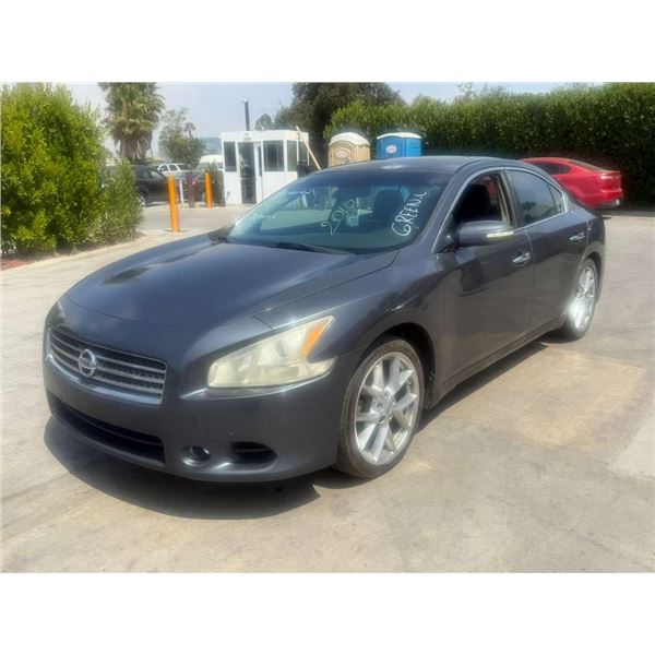 NISS MAXIMA 2010 O/S T-DON