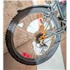 Image 2 : CCM X-Heat Mountain Bike with 18-Speed Gear System