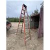 Image 1 : 10 ft Fiberglass ladder