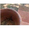 Image 12 : Various Outdoor Garden Accessories: Planters, Elephant Stand, Concrete Garden Chests, etc, Misc Si