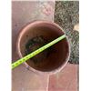 Image 13 : Various Outdoor Garden Accessories: Planters, Elephant Stand, Concrete Garden Chests, etc, Misc Si