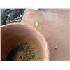 Image 16 : Various Outdoor Garden Accessories: Planters, Elephant Stand, Concrete Garden Chests, etc, Misc Si