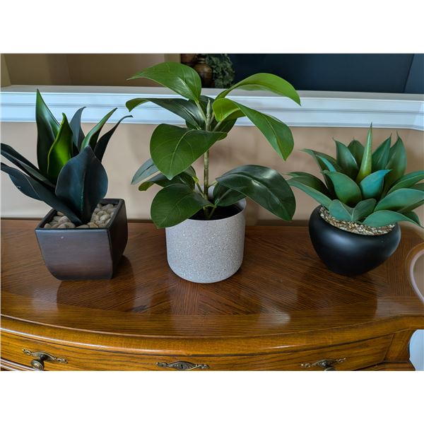 Faux Plants