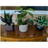 Image 1 : Faux Plants