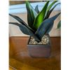 Image 2 : Faux Plants