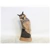 Image 1 : HAND CARVED BUFFALO HORN OWL 8"
