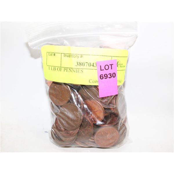 1 LB OF PENNIES