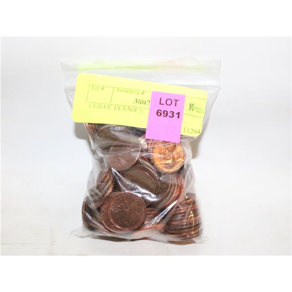 1 LB OF PENNIES