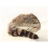 Image 1 : FUR DAVEY CROCKET HAT GLOBECRAFT CANADA