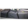 Image 1 : CANOPY TENT IN CARRYING BAG