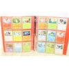 Image 1 : BINDER POKEMON CARDS