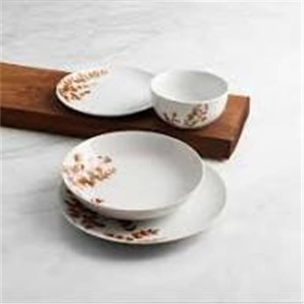 17 PIECE TRUDEAU PORCELAIN DINNERWARE SET