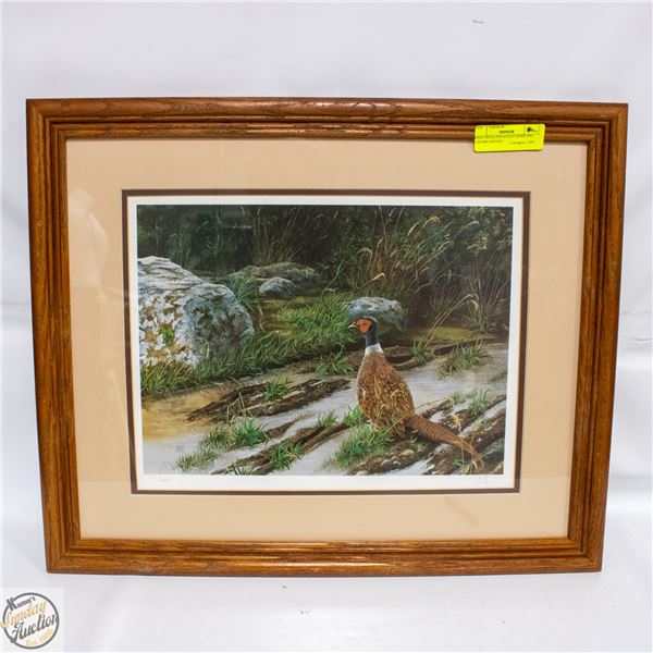 RING NECK PHEASANT HERB PIKI 278/3000 SIGNED