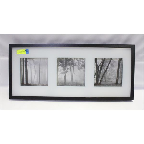 SHADOWBOX STYLE FRAME W/B&W PRINTS- 28" X 12"