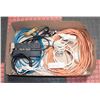 Image 1 : BOX WITH ASSORTMENT OF EXTENSION CORDS AND