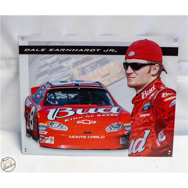 12" X 16" METAL SIGN (D.E JR)