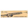 Image 1 : AAC MPW SEMI AUTO RIFLE.